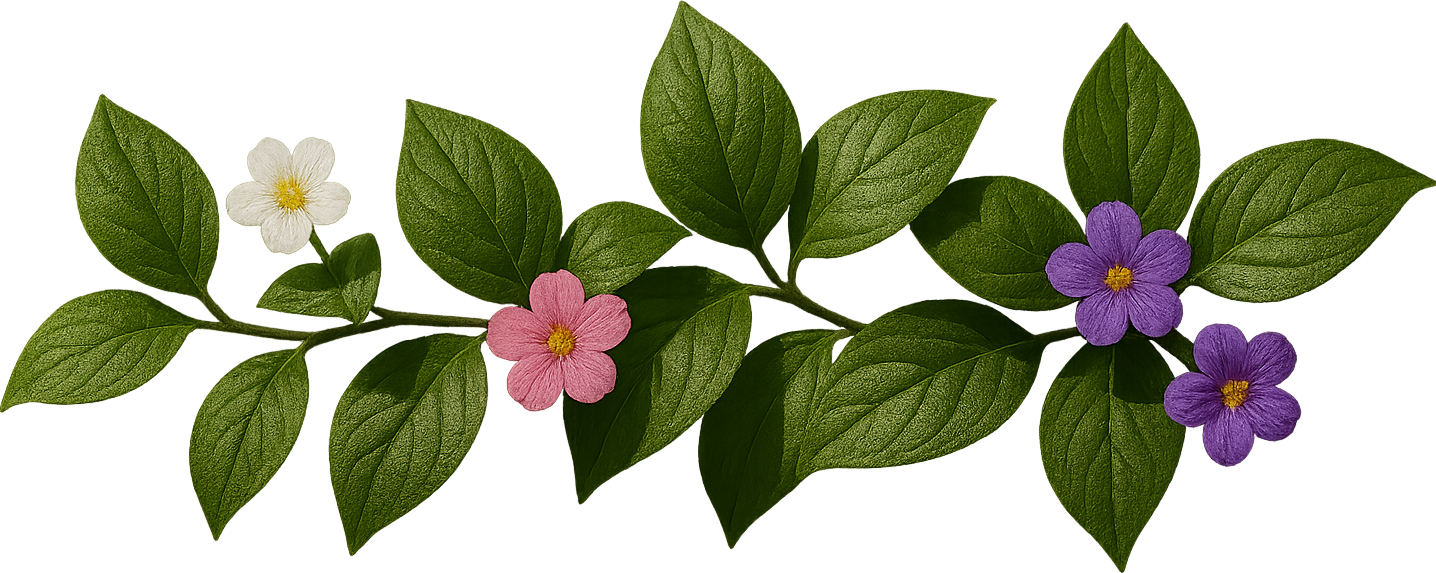 Ayurvedic Leaf